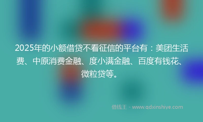 2025年的小额借贷不看征信的平台有：美团生活费、中原消费金融、度小满金融、百度有钱花、微粒贷等。