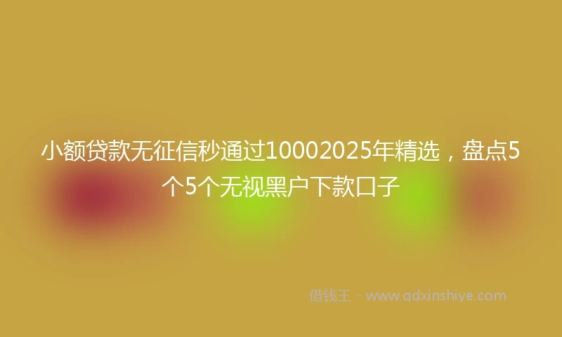 小额贷款无征信秒通过10002025年精选，盘点5个5个无视黑户下款口子