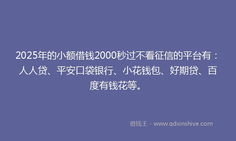 2025年的小额借钱2000秒过不看征信的平台有：人人贷、平安口袋银行、小花钱包、好期贷、百度有钱花等。