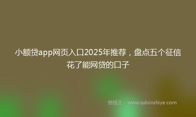 小额贷app网页入口2025年推荐，盘点五个征信花了能网贷的口子