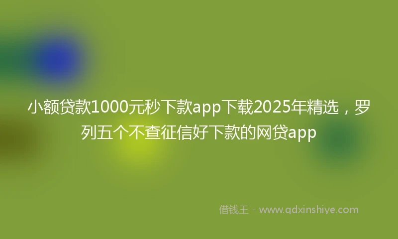 小额贷款1000元秒下款app下载2025年精选，罗列五个不查征信好下款的网贷app