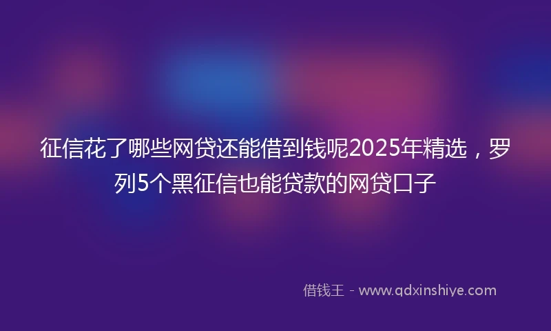 征信花了哪些网贷还能借到钱呢2025年精选，罗列5个黑征信也能贷款的网贷口子