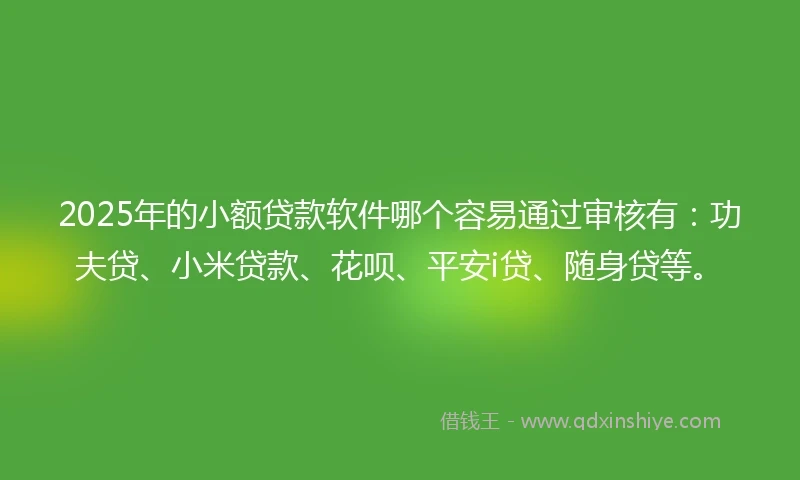 2025年的小额贷款软件哪个容易通过审核有：功夫贷、小米贷款、花呗、平安i贷、随身贷等。
