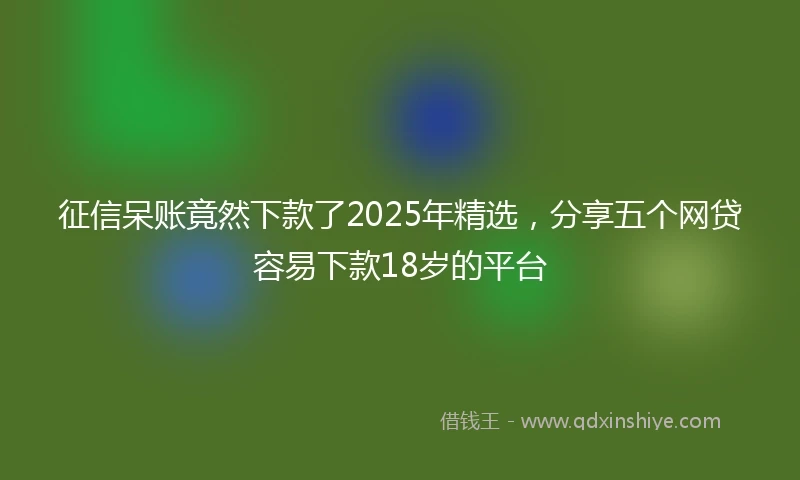 征信呆账竟然下款了2025年精选,分享五个网贷容易下款18岁的平台