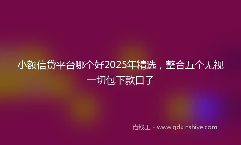 小额信贷平台哪个好2025年精选，整合五个无视一切包下款口子