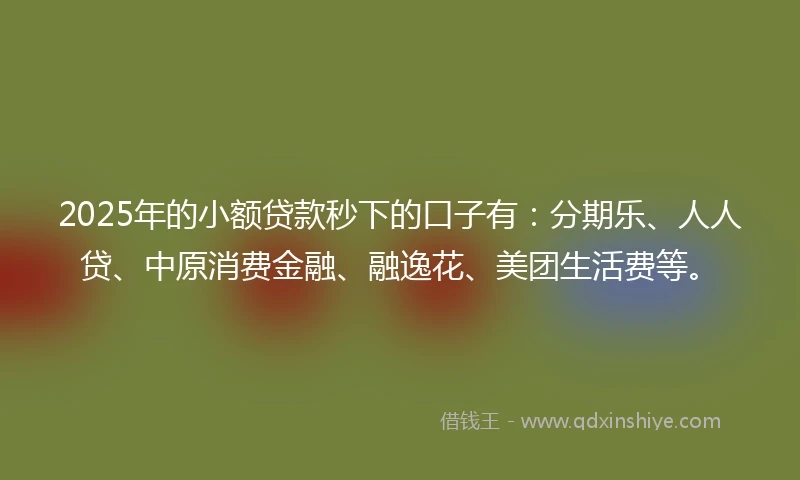 2025年的小额贷款秒下的口子有：分期乐、人人贷、中原消费金融、融逸花、美团生活费等。