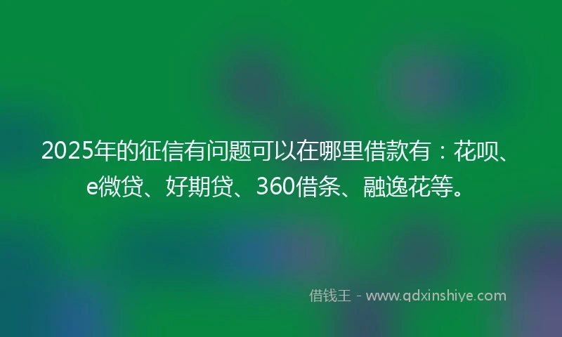 2025年的征信有问题可以在哪里借款有：花呗、e微贷、好期贷、360借条、融逸花等。