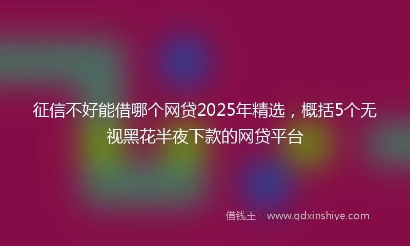 征信不好能借哪个网贷2025年精选，概括5个无视黑花半夜下款的网贷平台
