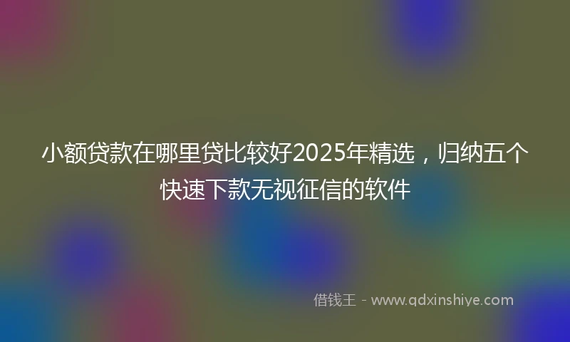 小额贷款在哪里贷比较好2025年精选，归纳五个快速下款无视征信的软件