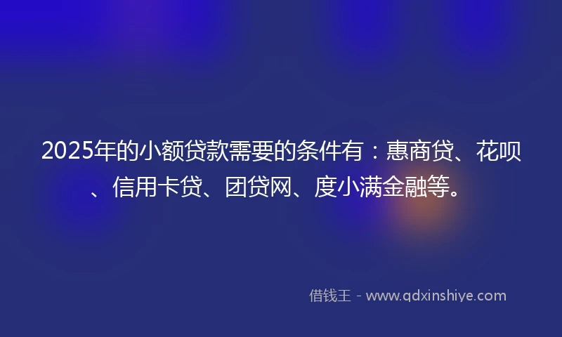 2025年的小额贷款需要的条件有：惠商贷、花呗、信用卡贷、团贷网、度小满金融等。