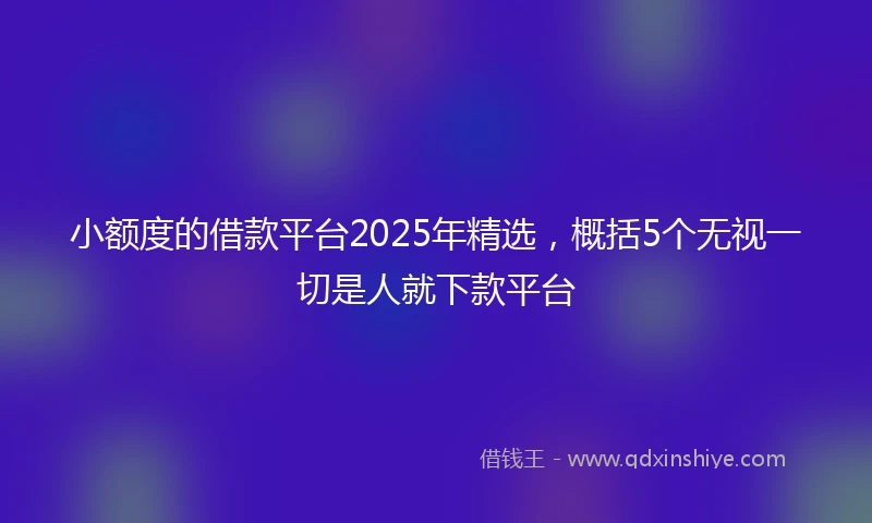 小额度的借款平台2025年精选，概括5个无视一切是人就下款平台