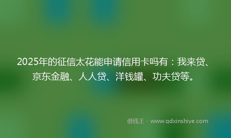 2025年的征信太花能申请信用卡吗有：我来贷、京东金融、人人贷、洋钱罐、功夫贷等。