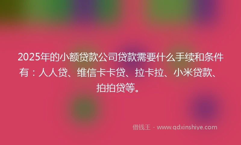 2025年的小额贷款公司贷款需要什么手续和条件有：人人贷、维信卡卡贷、拉卡拉、小米贷款、拍拍贷等。