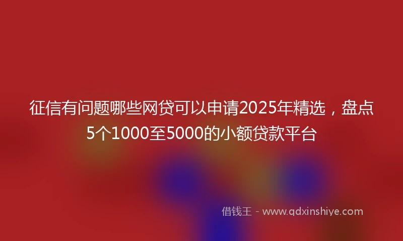 征信有问题哪些网贷可以申请2025年精选，盘点5个1000至5000的小额贷款平台