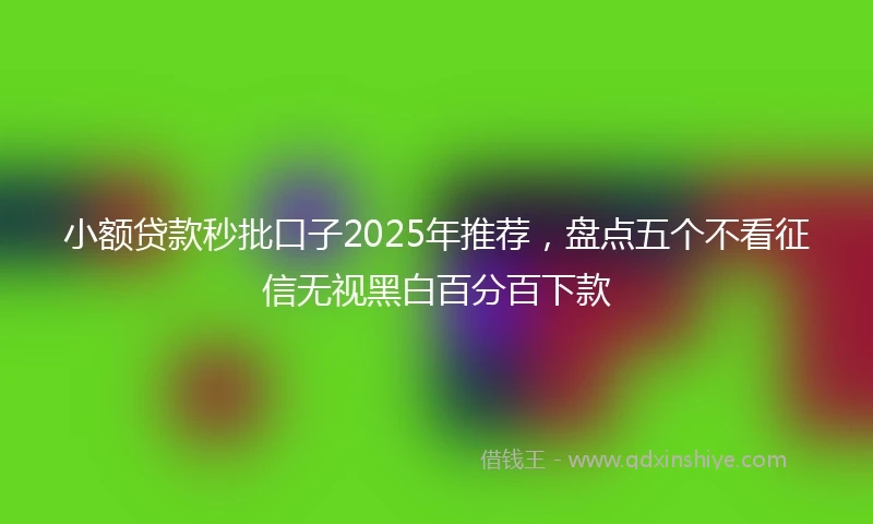 小额贷款秒批口子2025年推荐，盘点五个不看征信无视黑白百分百下款