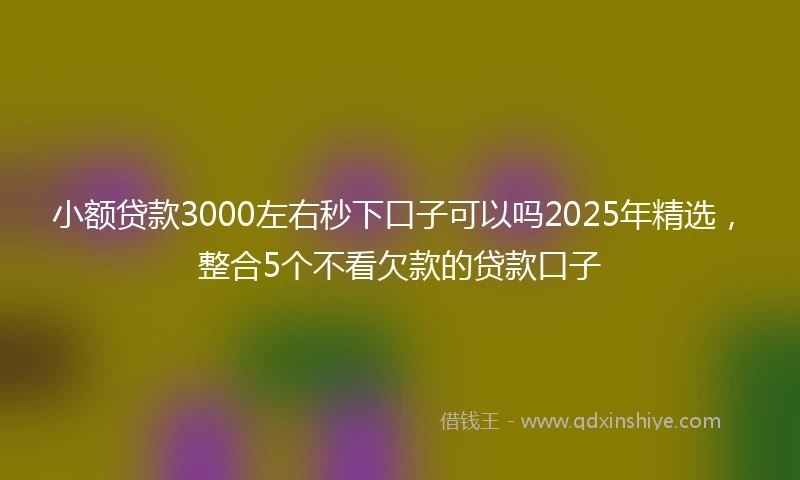 小额贷款3000左右秒下口子可以吗2025年精选，整合5个不看欠款的贷款口子