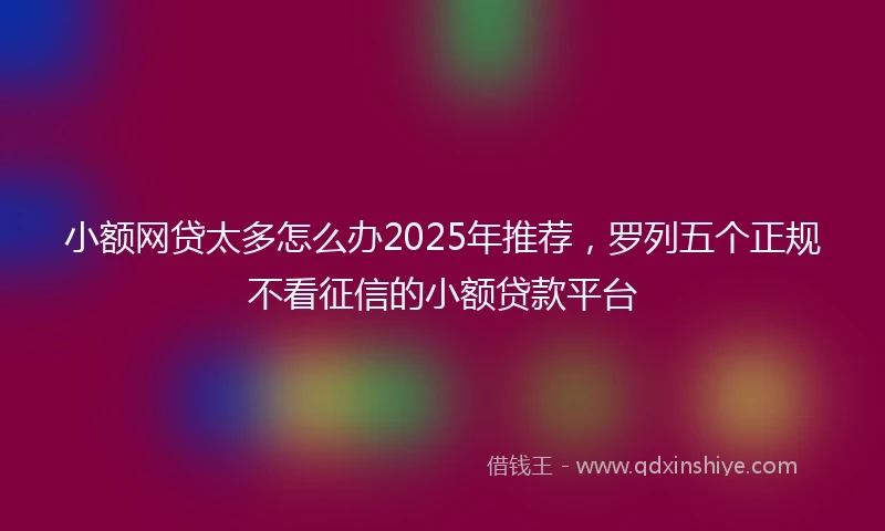 小额网贷太多怎么办2025年推荐，罗列五个正规不看征信的小额贷款平台