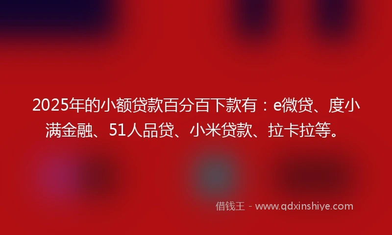 2025年的小额贷款百分百下款有：e微贷、度小满金融、51人品贷、小米贷款、拉卡拉等。