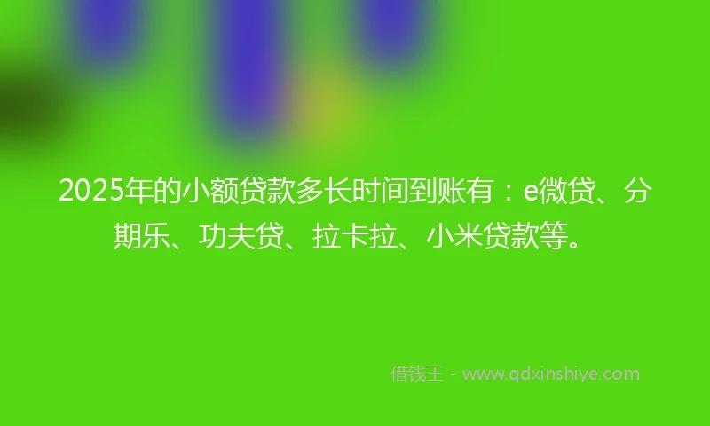 2025年的小额贷款多长时间到账有：e微贷、分期乐、功夫贷、拉卡拉、小米贷款等。