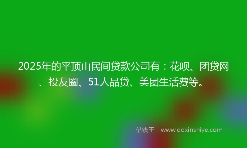 2025年的平顶山民间贷款公司有：花呗、团贷网、投友圈、51人品贷、美团生活费等。