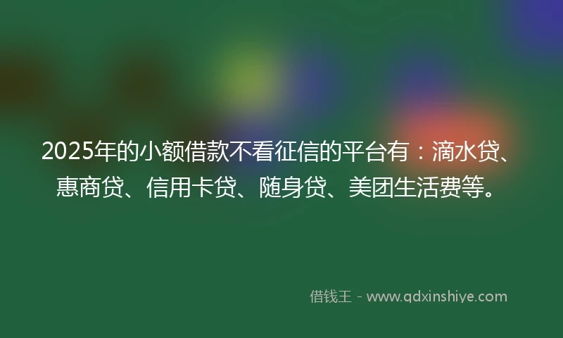 2025年的小额借款不看征信的平台有：滴水贷、惠商贷、信用卡贷、随身贷、美团生活费等。