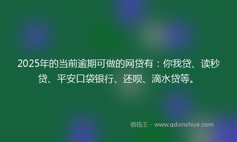 2025年的当前逾期可做的网贷有：你我贷、读秒贷、平安口袋银行、还呗、滴水贷等。