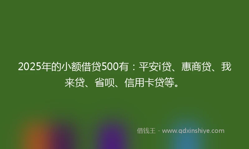 2025年的小额借贷500有：平安i贷、惠商贷、我来贷、省呗、信用卡贷等。