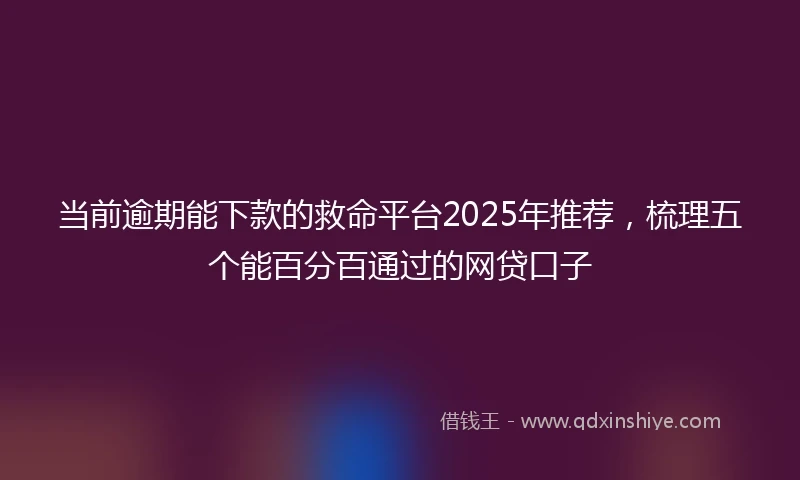 当前逾期能下款的救命平台2025年推荐，梳理五个能百分百通过的网贷口子