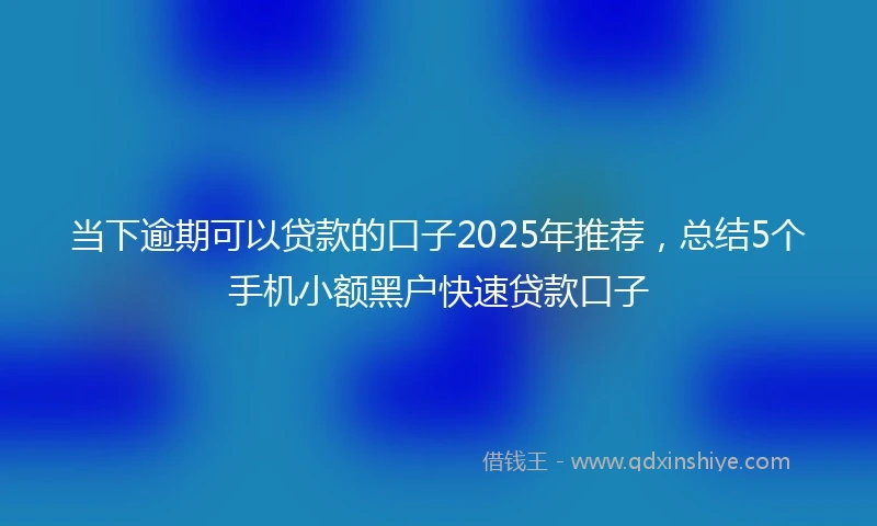 当下逾期可以贷款的口子2025年推荐，总结5个手机小额黑户快速贷款口子