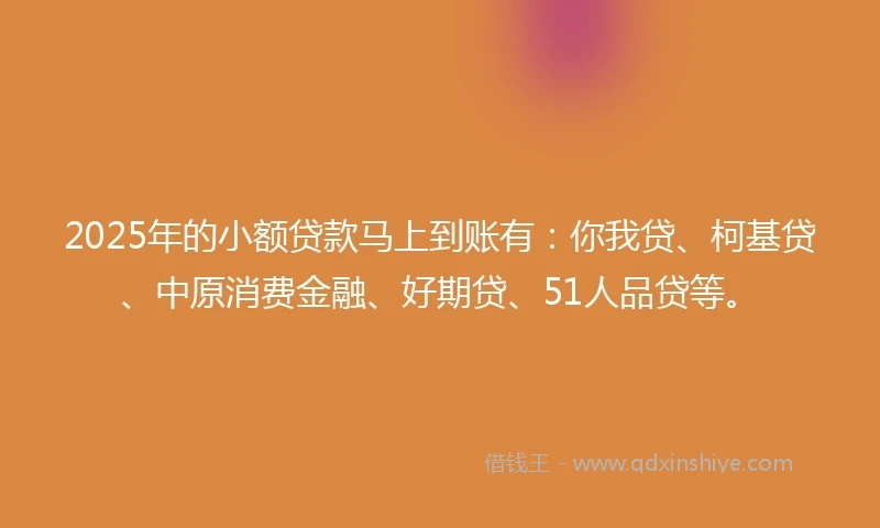 2025年的小额贷款马上到账有：你我贷、柯基贷、中原消费金融、好期贷、51人品贷等。