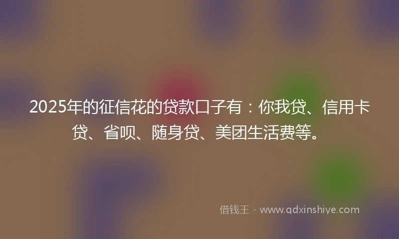 2025年的征信花的贷款口子有：你我贷、信用卡贷、省呗、随身贷、美团生活费等。
