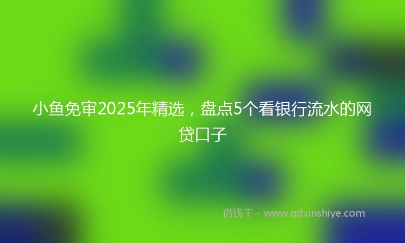 小鱼免审2025年精选，盘点5个看银行流水的网贷口子