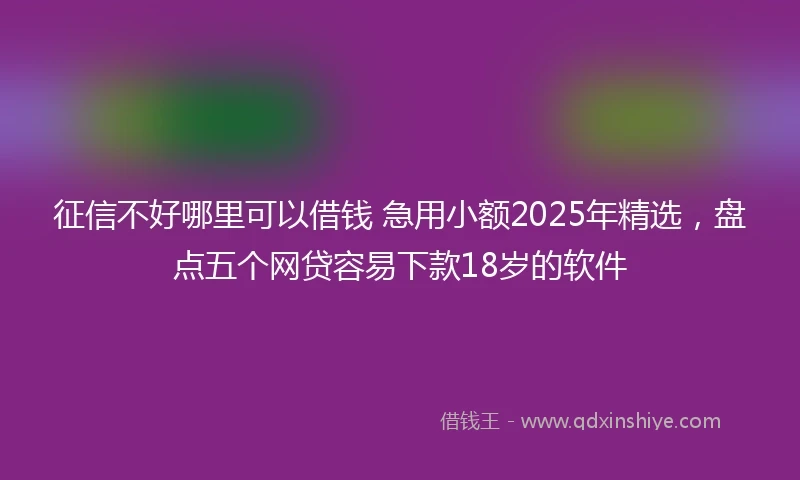 征信不好哪里可以借钱 急用小额2025年精选，盘点五个网贷容易下款18岁的软件