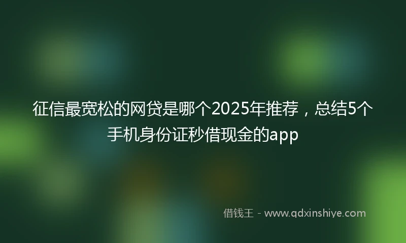 征信最宽松的网贷是哪个2025年推荐，总结5个手机身份证秒借现金的app