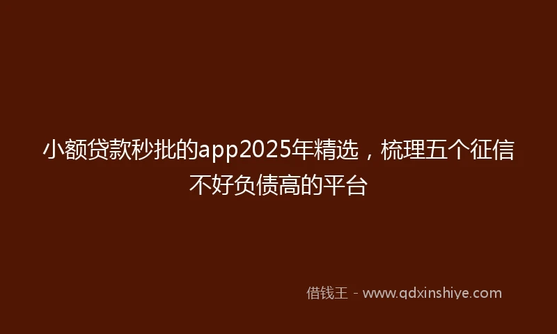 小额贷款秒批的app2025年精选，梳理五个征信不好负债高的平台