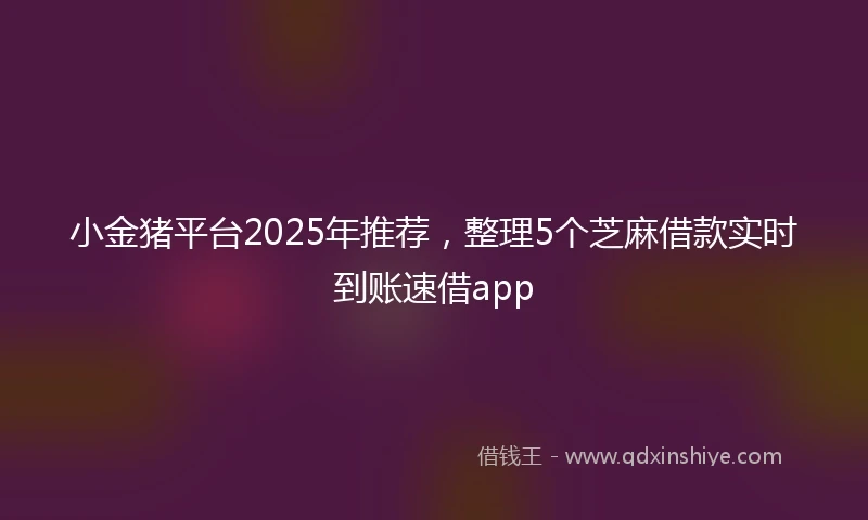 小金猪平台2025年推荐，整理5个芝麻借款实时到账速借app