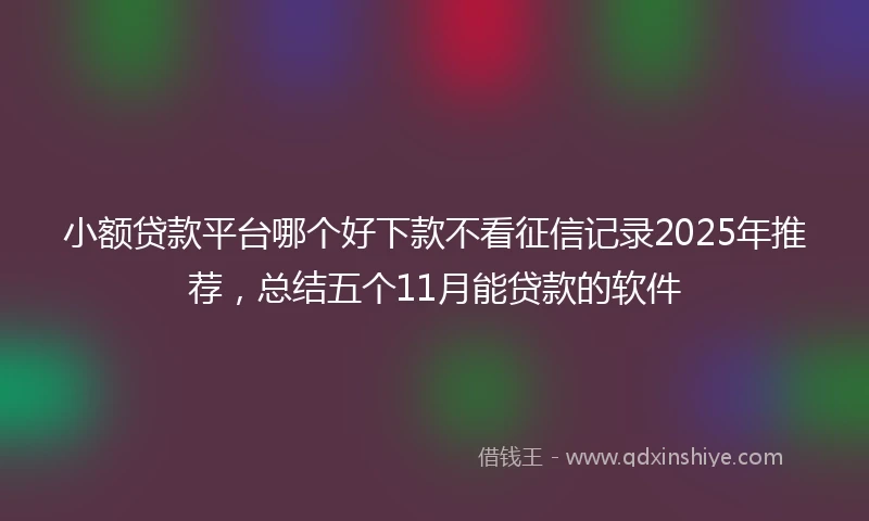 小额贷款平台哪个好下款不看征信记录2025年推荐，总结五个11月能贷款的软件