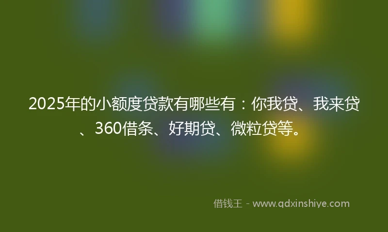 2025年的小额度贷款有哪些有：你我贷、我来贷、360借条、好期贷、微粒贷等。
