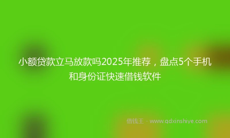 小额贷款立马放款吗2025年推荐，盘点5个手机和身份证快速借钱软件