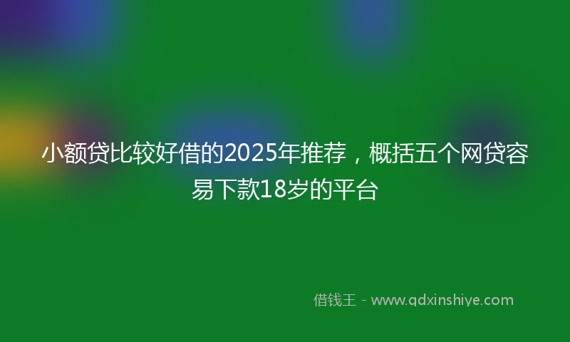 小额贷比较好借的2025年推荐，概括五个网贷容易下款18岁的平台