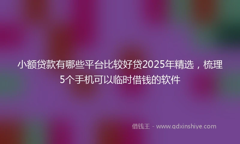 小额贷款有哪些平台比较好贷2025年精选，梳理5个手机可以临时借钱的软件