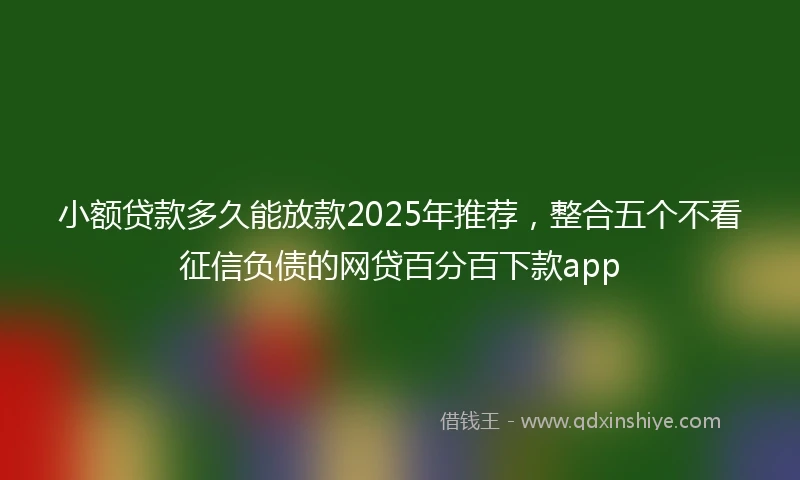 小额贷款多久能放款2025年推荐，整合五个不看征信负债的网贷百分百下款app