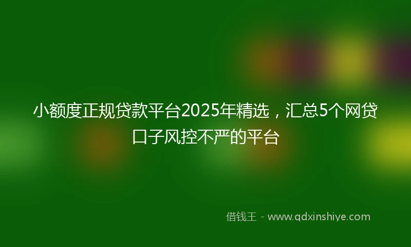 小额度正规贷款平台2025年精选，汇总5个网贷口子风控不严的平台