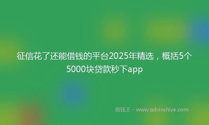 征信花了还能借钱的平台2025年精选，概括5个5000块贷款秒下app