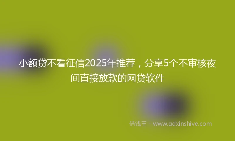 小额贷不看征信2025年推荐，分享5个不审核夜间直接放款的网贷软件