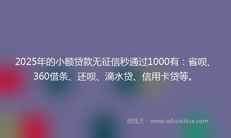 2025年的小额贷款无征信秒通过1000有：省呗、360借条、还呗、滴水贷、信用卡贷等。