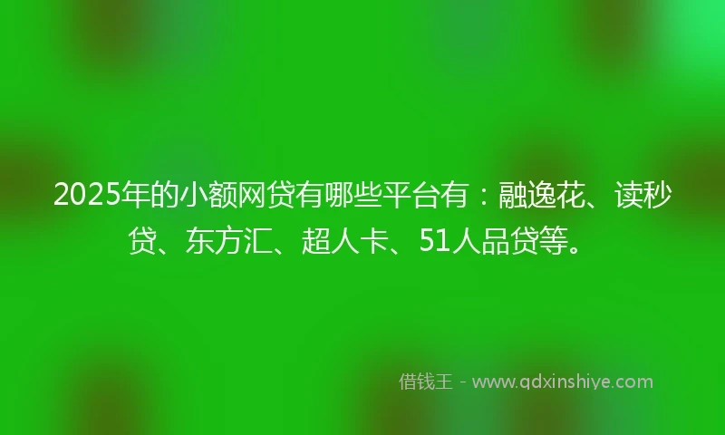 2025年的小额网贷有哪些平台有：融逸花、读秒贷、东方汇、超人卡、51人品贷等。