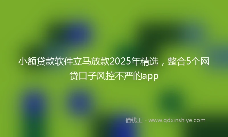 小额贷款软件立马放款2025年精选，整合5个网贷口子风控不严的app