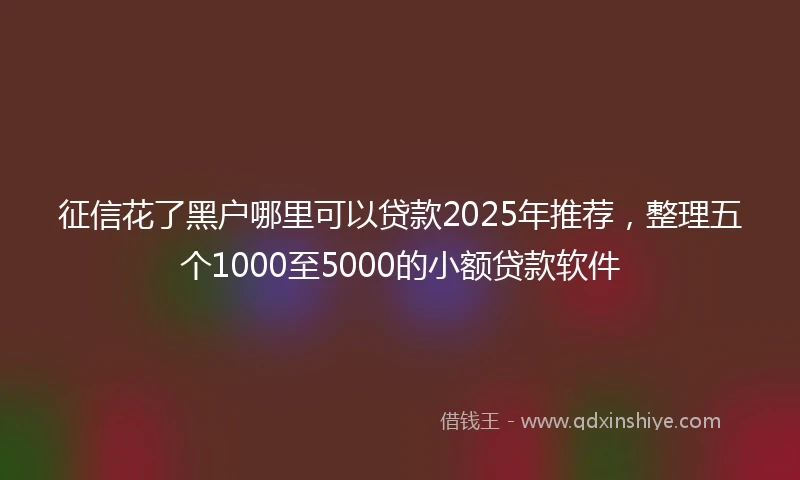 征信花了黑户哪里可以贷款2025年推荐，整理五个1000至5000的小额贷款软件