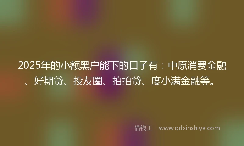 2025年的小额黑户能下的口子有:中原消费金融、好期贷、投友圈、拍拍贷、度小满金融等。